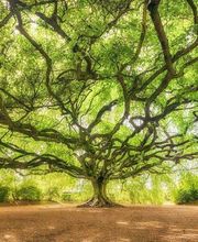 Ana Andueza image 12