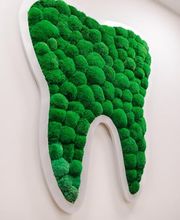 Zahnarztpraxis Stefan Brandl Bild 10