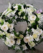 Le Plein Des Sens image 10