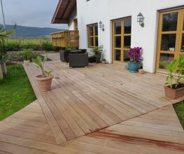 Stark im Garten Bild 33