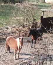 Schmoalmisch Ranch Bild 1