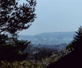 Felsenkeller Holzminden Bild 8