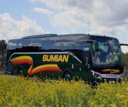 AUTOCARS SUMIAN image 18