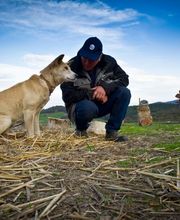 Ceva Santé Animale image 2