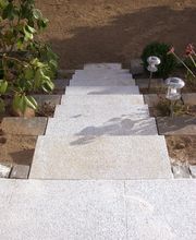 Der Grüne Baum Bild 17