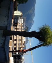 CD Paysages SA Bild 8