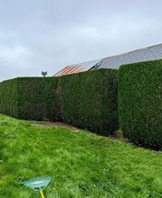 Christophe Espaces Verts image 2