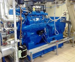 Biogas-BHKW 250 kW mit katalytischer Abluftreinigung