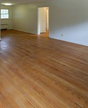 Sunny Crest Manor Apartments image 2