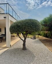 CORSE ELAGAGE image 11