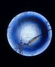 Clínica Stella imagen 10