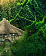 Oziris Agency image 5