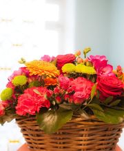 Dr. med. Peter Roland Bild 6