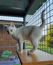 Les Hameaux De Broceliande image 2