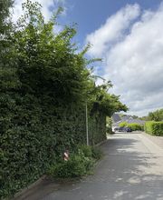 All Around Service Bild 3