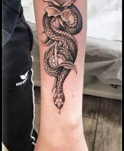 Crazy Tattoo Piercing image 5