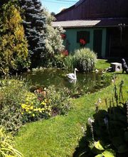 S.O.S Jardinage image 1