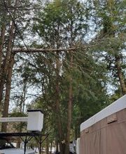 Happy Stump Tree Service image 1