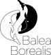 Balea Borealis : Massages & Soins énergétiques