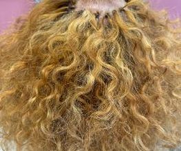 amaRose Coiffeur Bild 2