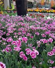 HELLWEG - Die Profi-Baumärkte Essen Bild 9