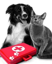 Tierpraxis Senn GmbH Bild 1