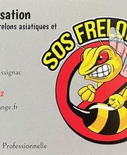 Sos Frelons 47 image 3