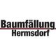Bernhard Hermsdorf Baumfällungen