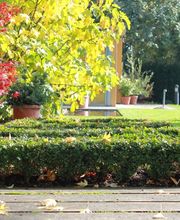 Käser Gartenbau AG Bild 8