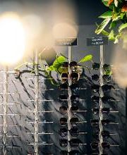 LaBELLE LUNETTE - Opticien Pantin image 14