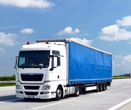 SERNAL_CAMION.jpg