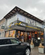 Moss am Stier Bild 1