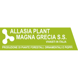 Allasia Plant Magna Grecia S.S. logo