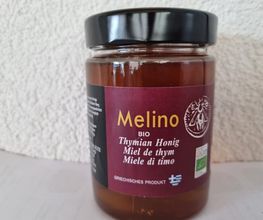 ilithea.ch Bild 7