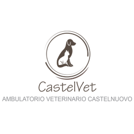 CastelVet logo