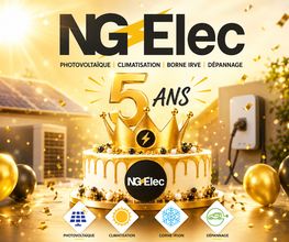 NG Elec image 1