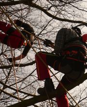 Garten Zwölfer GmbH & Co. KG Bild 3