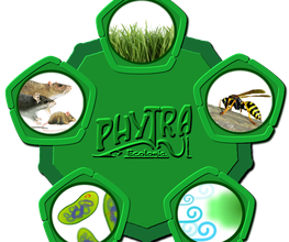 Phytra Ecologia image 1