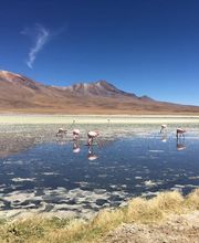 TO PACK N' GO image 5