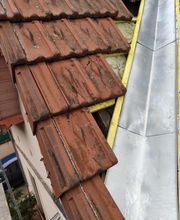 Seneca Antony image 12