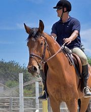 Centre Equestre image 1