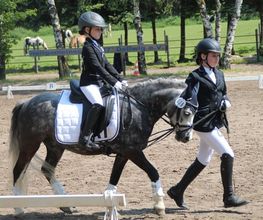 Dressurteam Schleich Bild 2