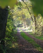 Office De Tourisme Intercommunal Du Pays De Bray image 14