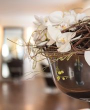 Nova Coiffure Bild 4