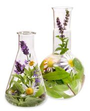 Herzpunkt Naturheilpraxis Bild 1