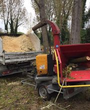 D'arbre En Arbre image 6