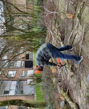 Hausmeisterservice&Reinigung - Brandt Bild 20