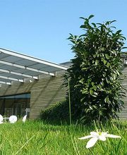 LA MAISON DES ABEILLES image 6