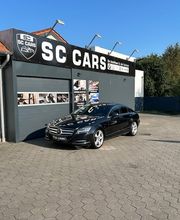 SC Cars Bild 1