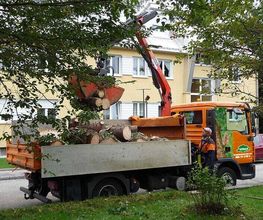 Urban Münchner Baumpflege GmbH Bild 6